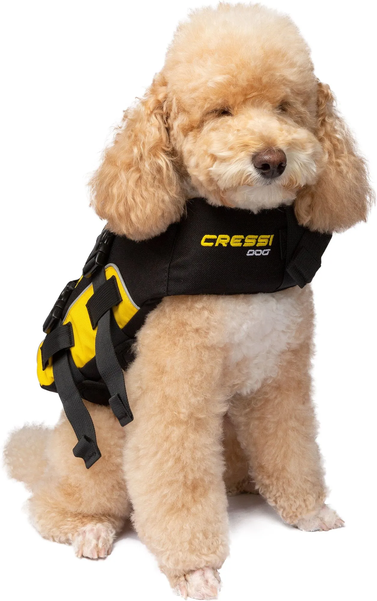 Dlj Dog Life Jacket