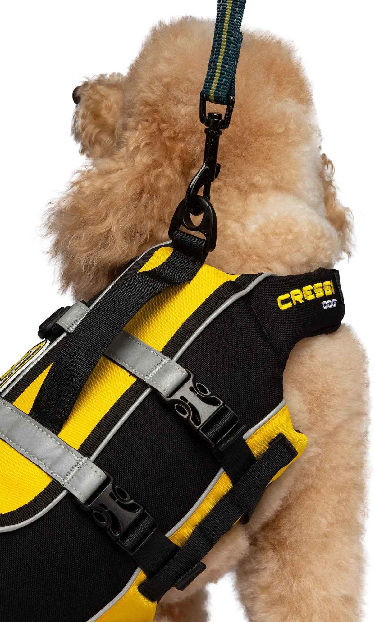 Dlj Dog Life Jacket