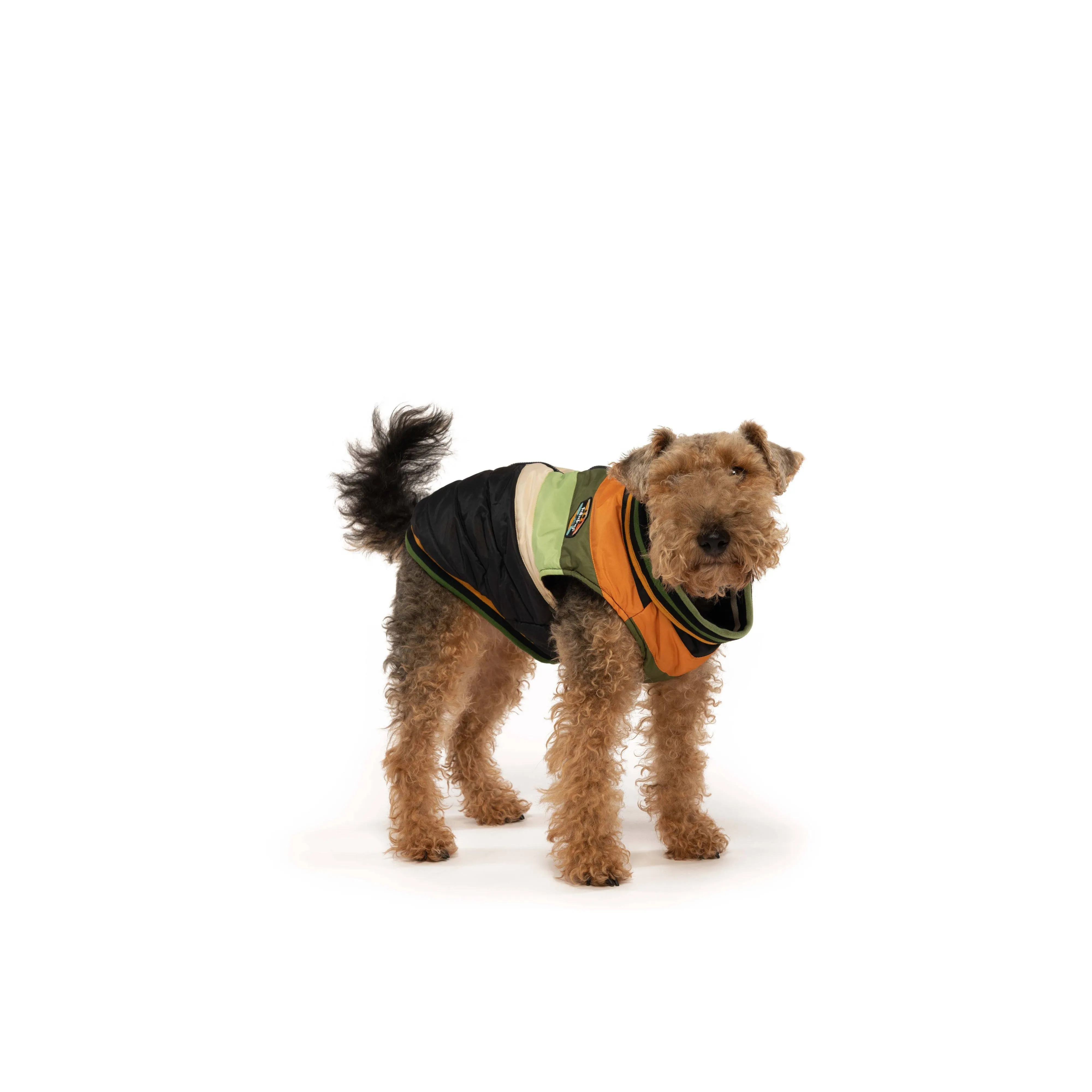 Fabdog | Black Chevron Dog Coat