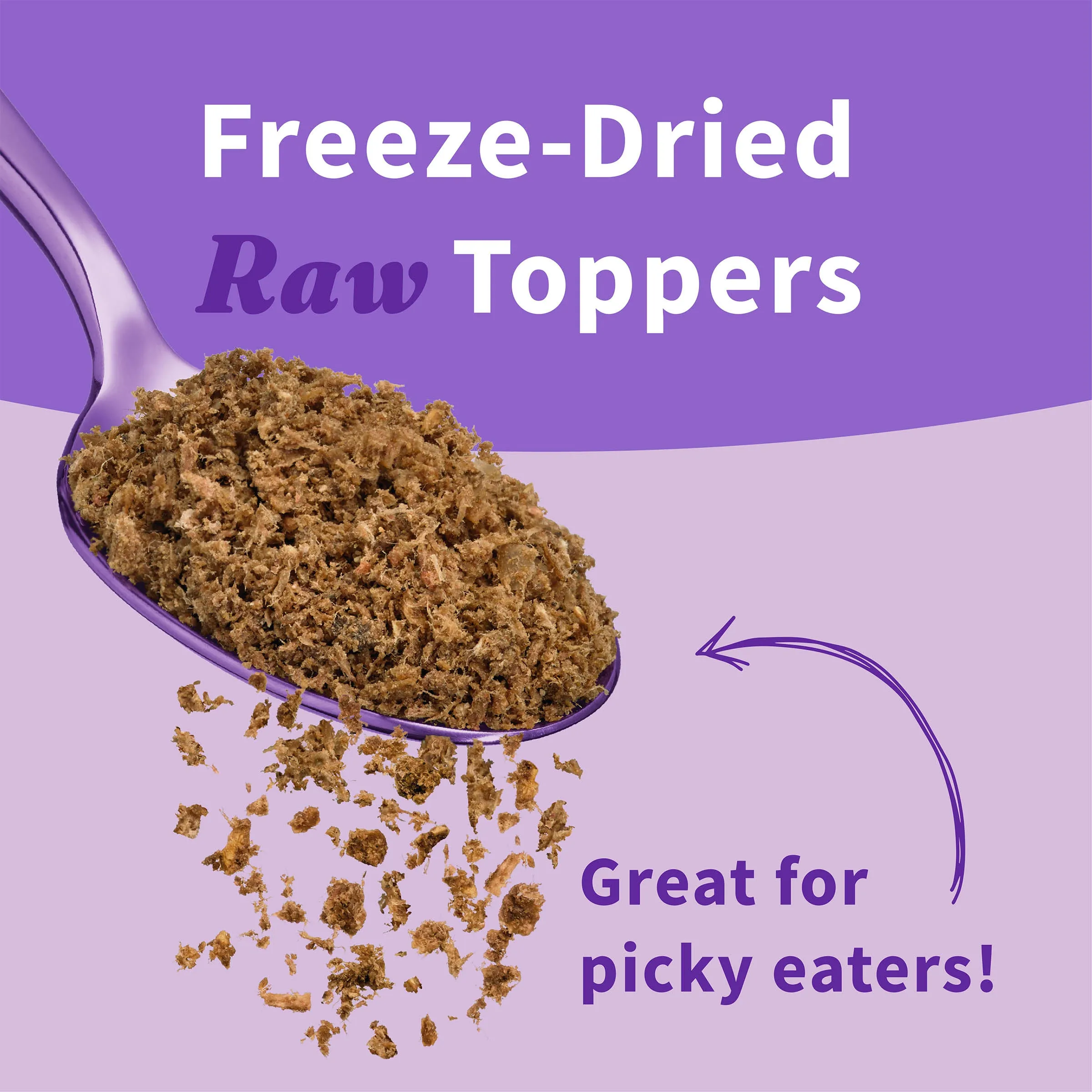 Freeze-Dried Raw Skin & Coat Topper 3.5 oz