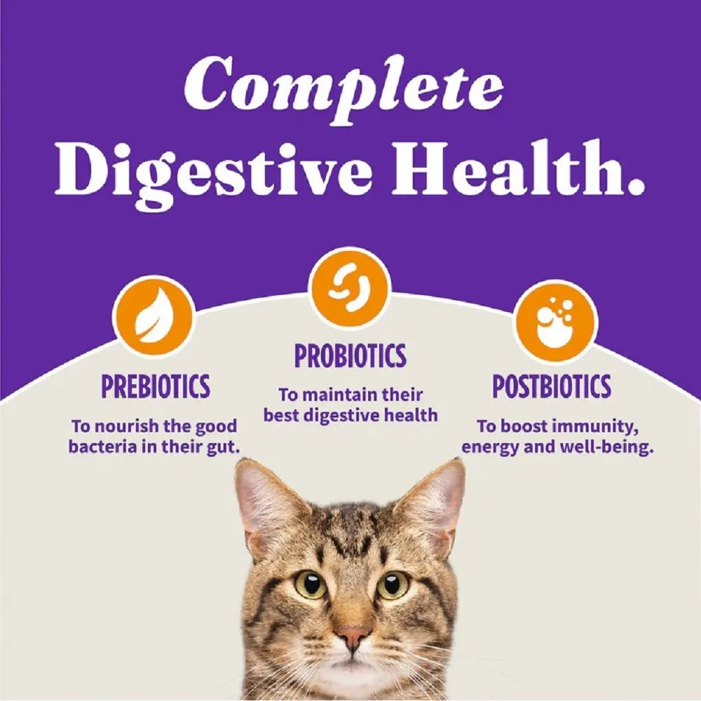 Holistic Healthy Grains Chicken Adult Cat Dry Food