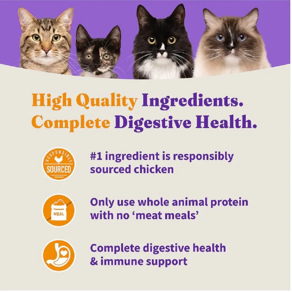 Holistic Healthy Grains Chicken Adult Cat Dry Food