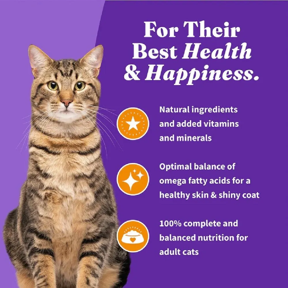 Holistic Healthy Grains Chicken Adult Cat Dry Food