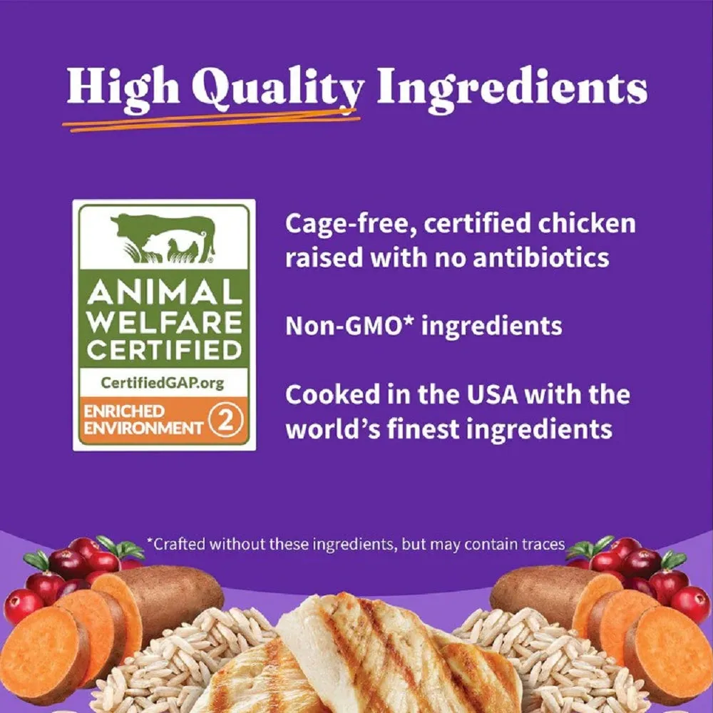 Holistic Healthy Grains Chicken Adult Cat Dry Food