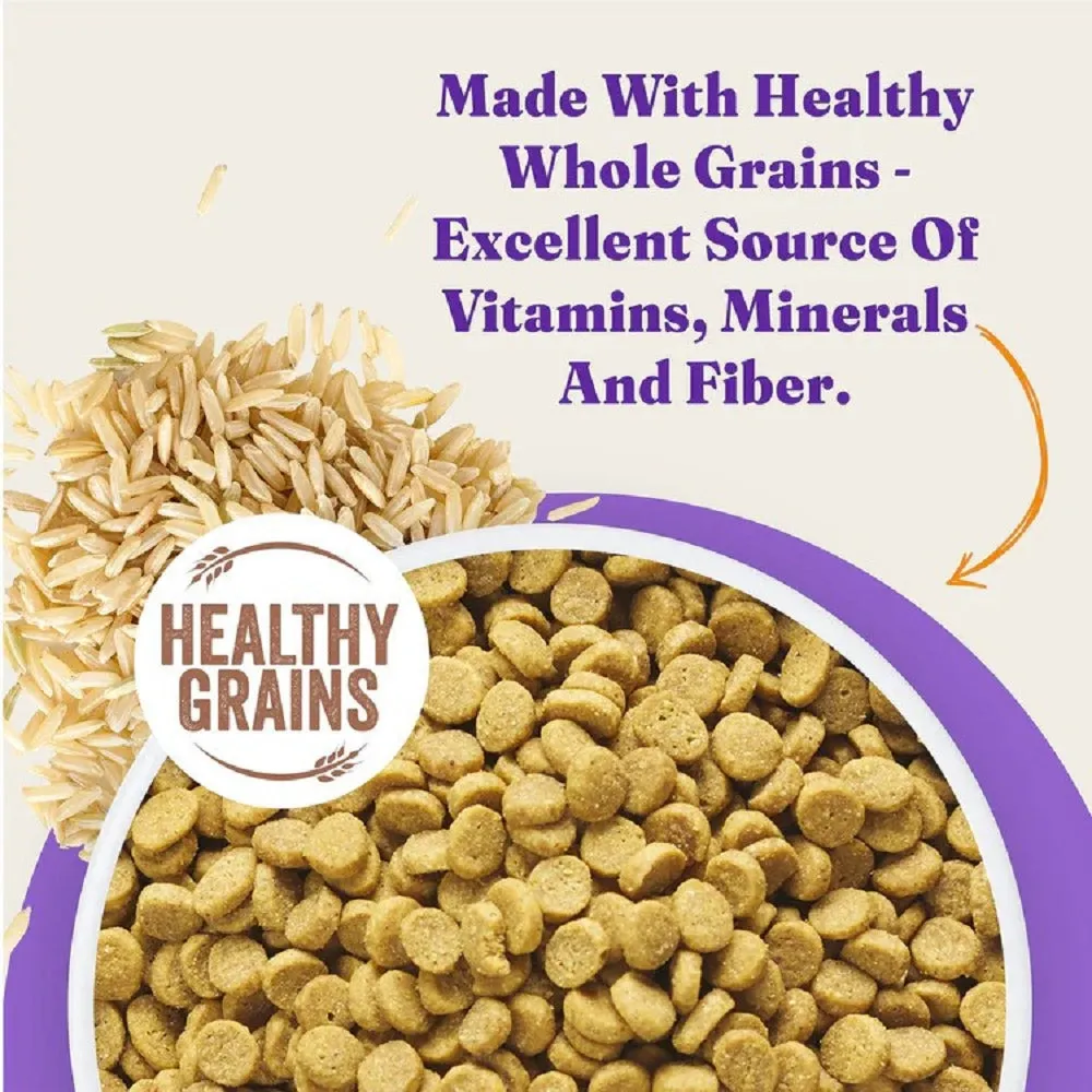 Holistic Healthy Grains Chicken Adult Cat Dry Food